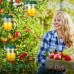 Pièges à Frelons et Guêpes Réutilisables (Lot)