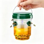 Pièges à Frelons et Guêpes Réutilisables (Lot)