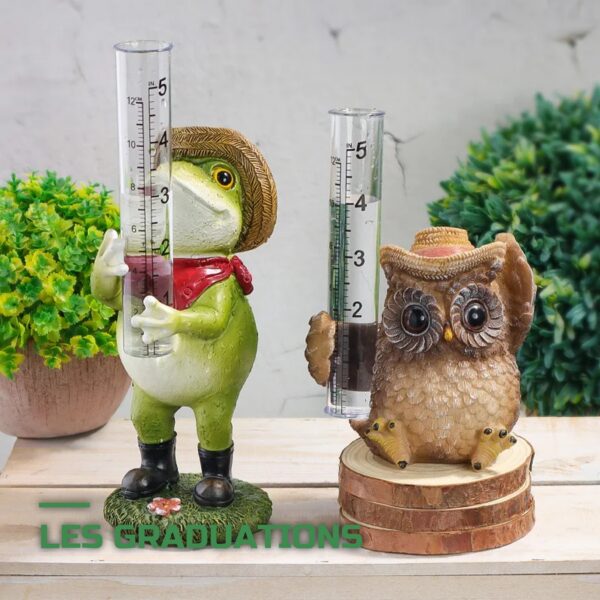 Pluviomètre de Jardin Décoratif Gradué