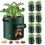 Sacs de Culture pour Pommes de Terre avec Fenêtre