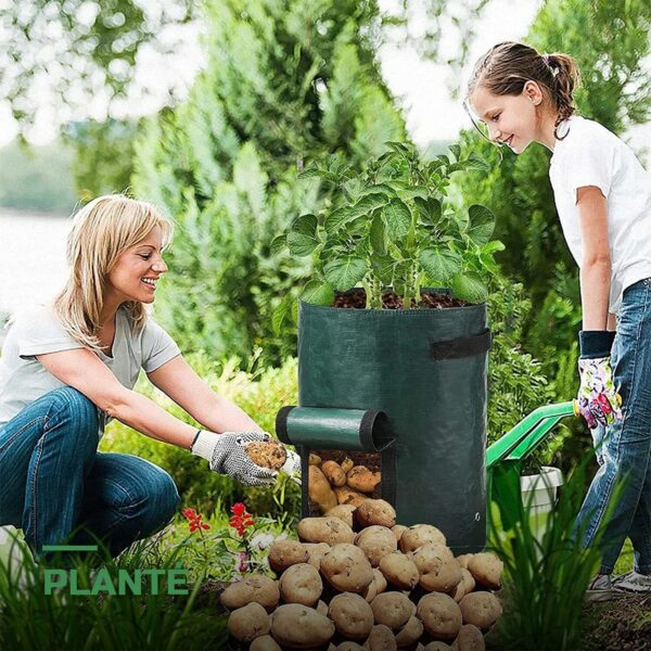 Sacs de Culture pour Pommes de Terre avec Fenêtre