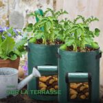 Sacs de Culture pour Pommes de Terre avec Fenêtre