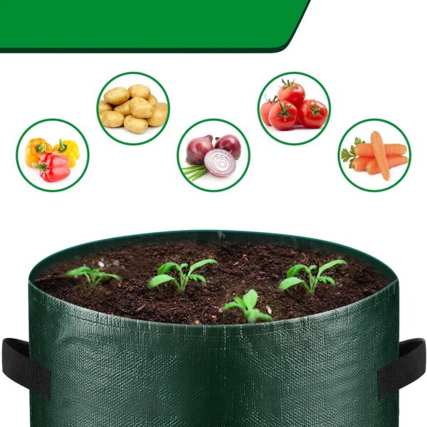 Sacs de Culture pour Pommes de Terre avec Fenêtre