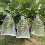 Sacs Filet de Protection pour Fruits