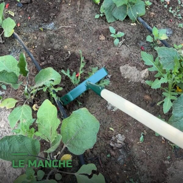 Sarcloir Oscillant à Étrier pour Désherbage