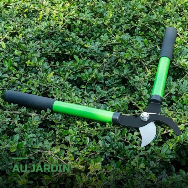 Sécateur de Jardin Manuel Ergonomique