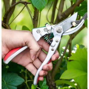 Sécateur de Jardin Professionnel à Lame Bypass