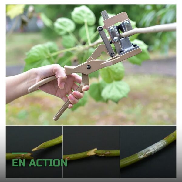 Sécateur Greffoir pour Greffage d'Arbres Fruitiers