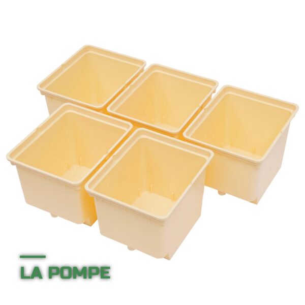 Système Hydroponique DWC à Seaux avec Pompe