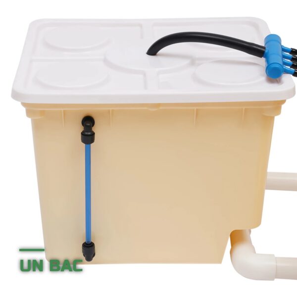 Système Hydroponique DWC à Seaux avec Pompe