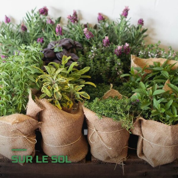 Toile de Paillage en Jute Naturel Biodégradable