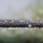 Tuyau Microporeux Suintant d'Arrosage