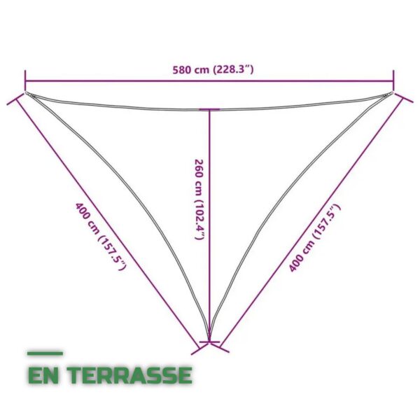 Voile d'Ombrage Triangulaire pour Jardin